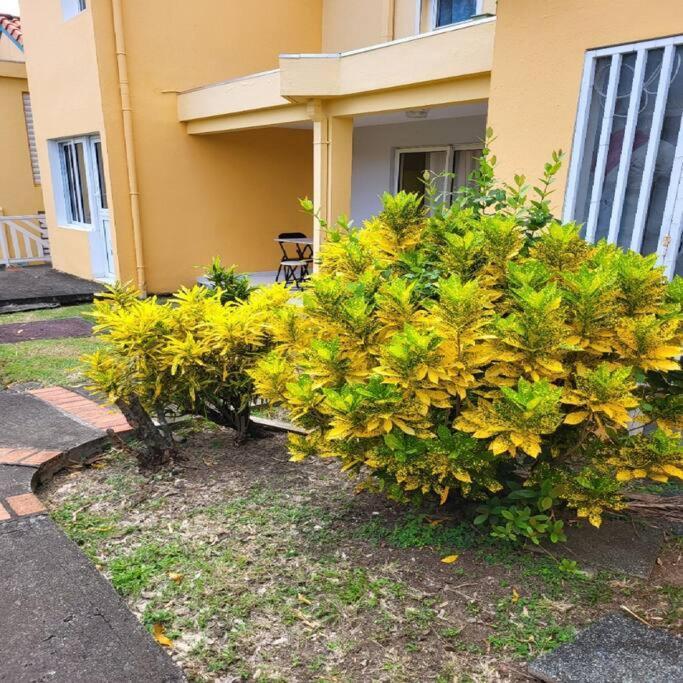 Appartement A Saint-Anne - Residence Beauregard Sainte-Anne Exterior photo